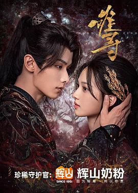 寅次郎的故事12：我的寅先生 封面图