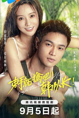 团子大家族 剧场版 封面图